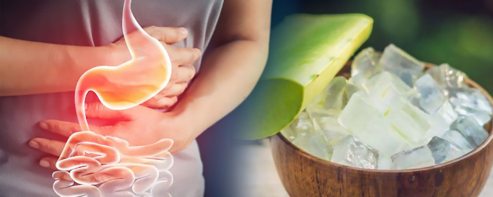 Berapa banyak lidah buaya untuk mengobati sembelit