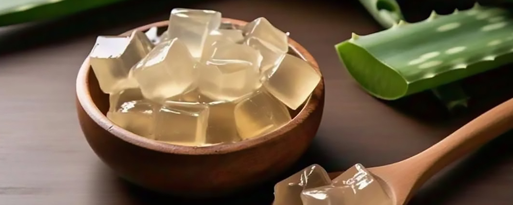 Apakah lidah buaya bisa dimakan?